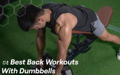 Best Ab Workouts with Dumbbells: 6 Support Picks Compared
