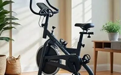 Best Inexpensive Exercise Bike: 6 Picks by Riding Position