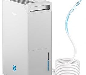 Best Dehumidifier With Built In Pump (2026)