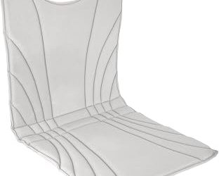 Best Massage Chair Cushion (2026)