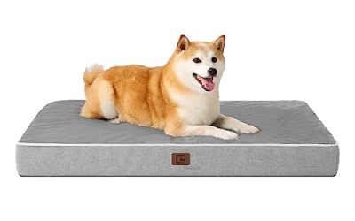 Best Mattresses for Pet Owners: Easy to Clean and Durable