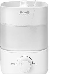 Best Place To Put Humidifier (2026)