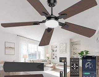 Best Price Ceiling Fan (2026)