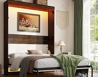 Best Queen Size Murphy Bed (2026)