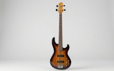 Best 6 String Bass Guitars for Every Player