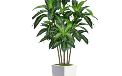 7 Best Artificial Trees for Indoors (October 2026)
