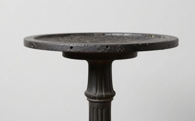Best Bird Baths for Attracting Garden Birds