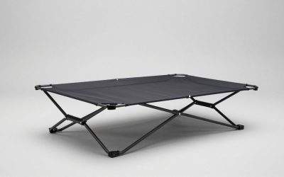 Best Camping Cots for Adults