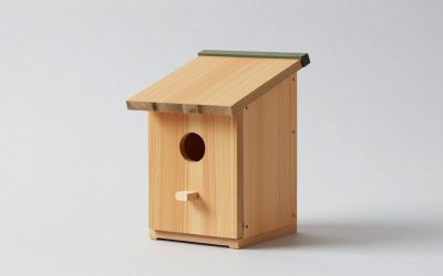 Best Chicken Nesting Boxes for Laying Hens