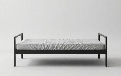 Best Day Beds for Adults: Stylish Picks for Living Rooms and Guest Rooms