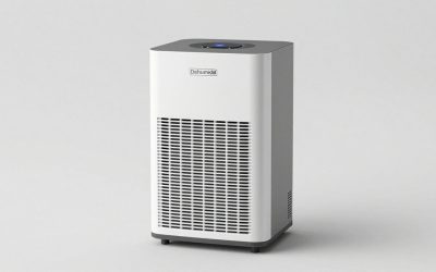 Best Dehumidifier for a Storage Unit: Desiccant Buckets, Silica Packs and One Powered Option