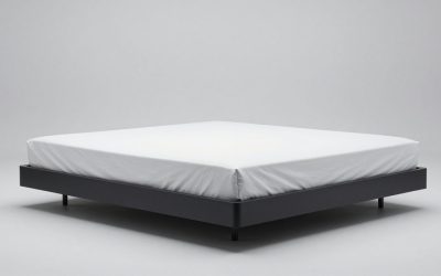Best King Platform Bed with Storage