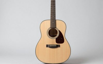 Best Parlor Guitars for Beginners: Easy, Comfortable Picks