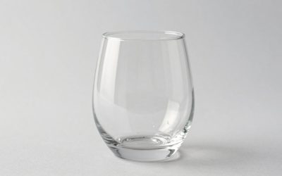 Best Stemless Wine Glasses for Everyday Use