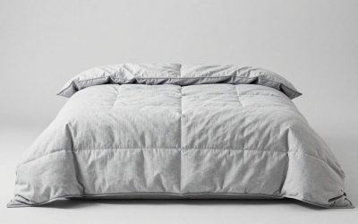 Best Weighted Blankets for Adults