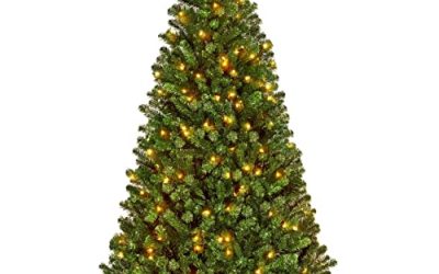 6 Buy Christmas Tree (October 2026)