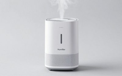 Humidifier for Nasal Congestion: Match the Tank to Your Room