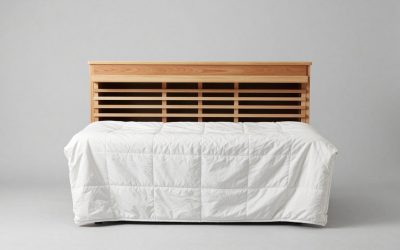 Infrared Sauna Blanket vs Heating Pad for Muscle Recovery: Which Is Right for Your Home (2026)