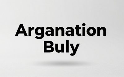 The Complete Organization Buying Guide (2026): Every Roundup in One Place