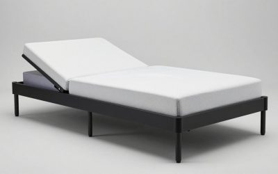 Trundle Beds for Adults: Space-Saving Guest Solutions